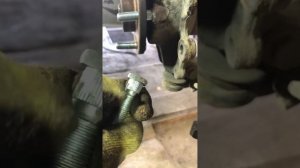 Замена шпилек Форд фокус