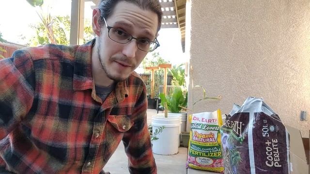 Repotting my Tea Plants - Camellia Sinensis ?? смотреть онлайн