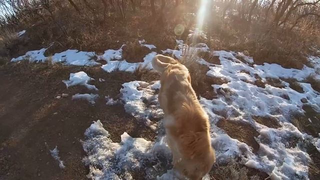 How I'm Training For An Extreme Triathlon While Working Full-Time | Golden Hour Trail Run And Swim смотреть онлайн