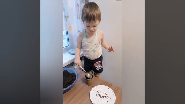 Мы садили огород! смотреть онлайн