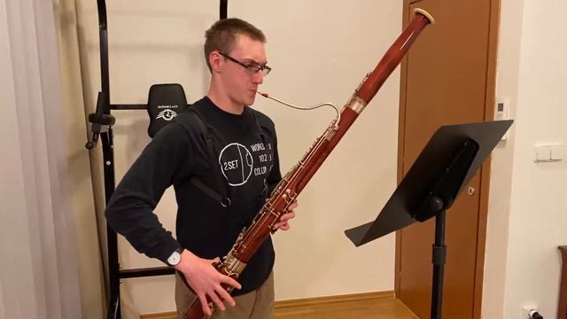 Nyan Cat (Bassoon Cover) смотреть онлайн