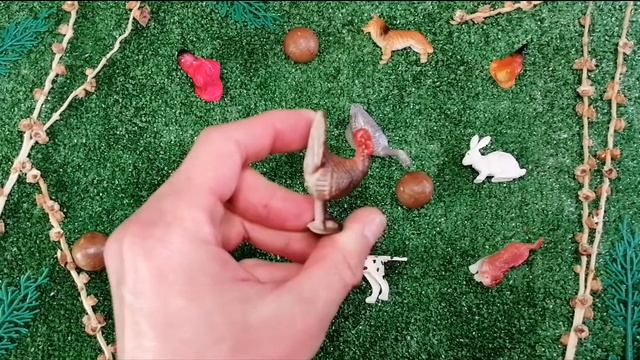 #homebirds #homepets Изучаем домашних животных и птиц, и их названия. Pets and birds. смотреть онлайн