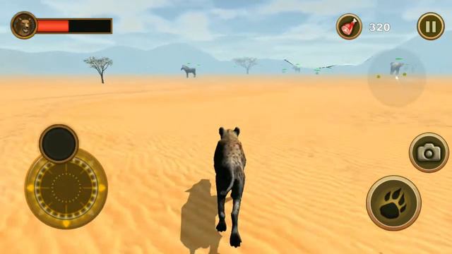 hyena attack for wild dogs & zebra ! Enjoy The Moments смотреть онлайн