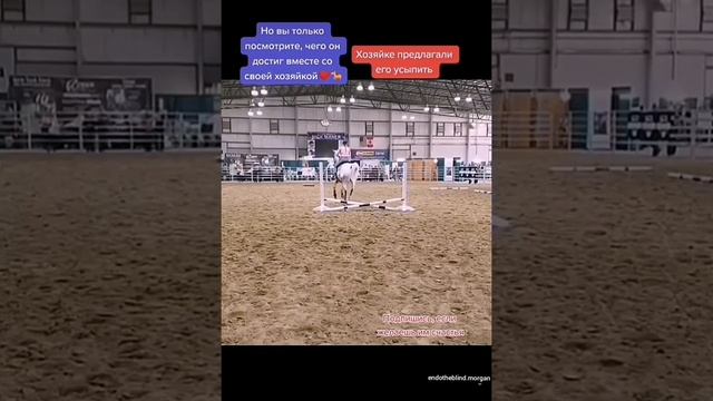 Конь без глаз ? смотреть онлайн