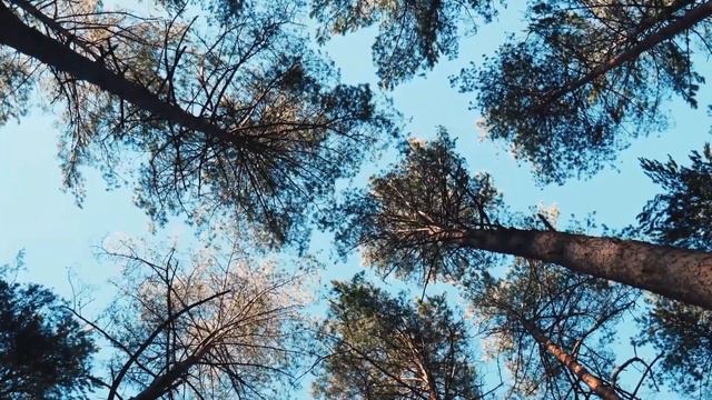 Откуда берется энергия денег? смотреть онлайн