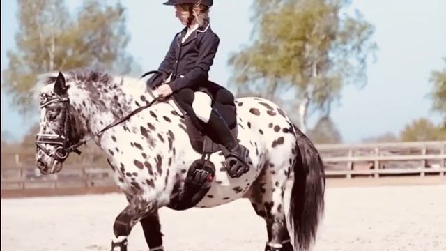 Маленькая девочка на маленькой лошади смотреть онлайн