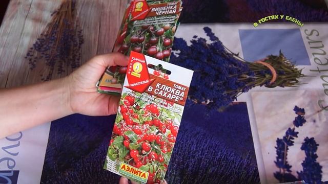 ПОКУПКА СЕМЯН №2 ОБЗОР, 2017г смотреть онлайн