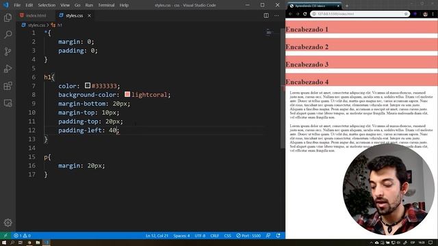 Tamaños, margin, padding y bordes en CSS [Curso de introducción al desarrollo web] смотреть онлайн