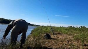 Рыбалка на Каме. Хотел на спиннинг, а получилось на донки.