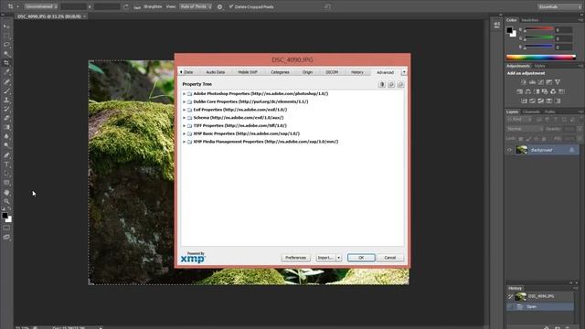 How to see the shutter actuations of Nikon or Canon DSLRs using Photoshop смотреть онлайн