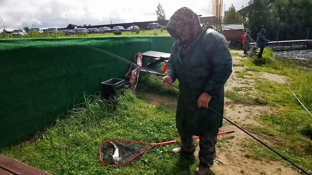 Рыбалка на VIP-1, 3 видео отзыва, 4 сентября 2021., Золотые Караси. смотреть онлайн