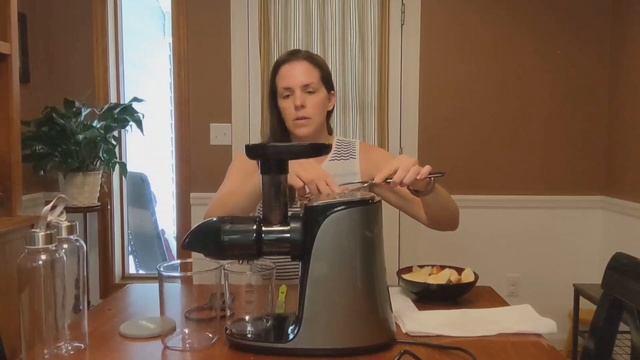 AMZCHEF GM3001 Slow Masticating Juicer Extractor, Cold Press Juicer with Two Speed Modes смотреть онлайн