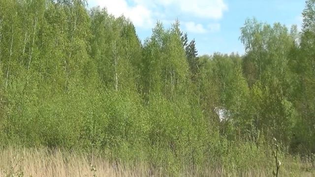 VLOG Ваша Юля - Открытие дачного сезона смотреть онлайн