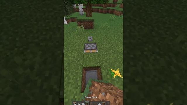 How to x-ray in 1.19 #xray #minecraft #minecraftshorts #shorts смотреть онлайн