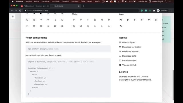 ? Radix conjunto de ícones gratuitos
