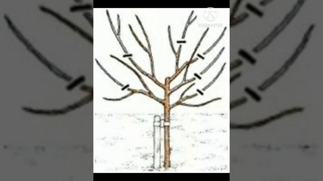 Трапезунд Кримський