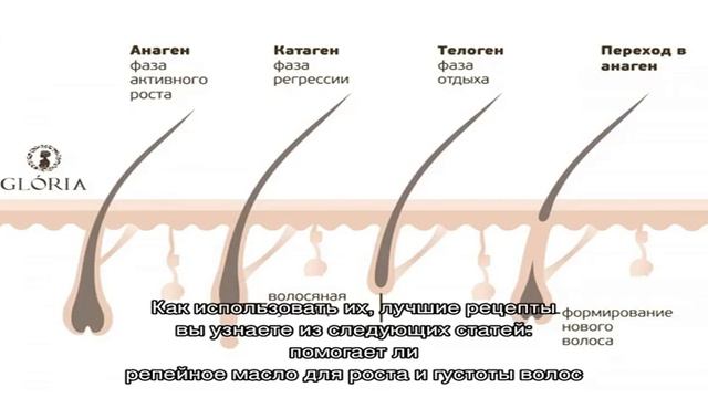Шампунь для роста волос Тианде — универсальное средство по уходу за волосами смотреть онлайн