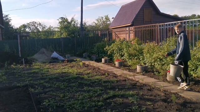 ?Купили дачу 24 серия., ✅выдрала помидоры., ✅садим газон., смотреть онлайн