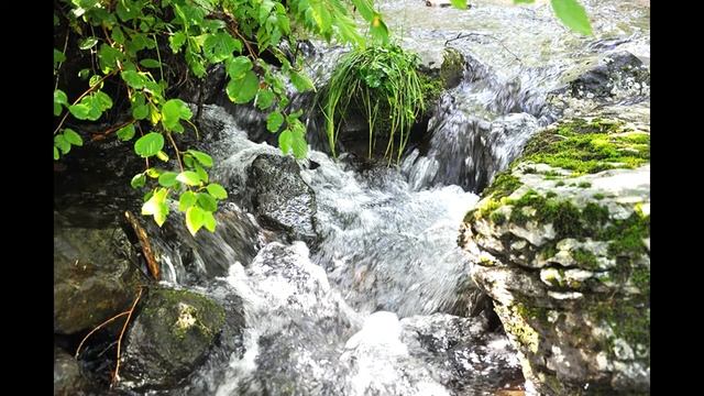 Наталья Грицкевич "Земля моя сибирская " Стих о Родине смотреть онлайн