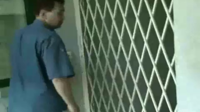 Дом в Берлине Nikandr Zapalyarny