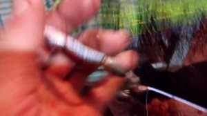 Кастинговые сети(посадка грузового шнура)