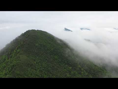 "Суета". Авторская песня Евгения Воробьева, г. Бийск смотреть онлайн