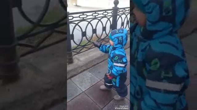 Рыбалка 🎣 Ловись рыбка большая и маленькая 😂 🐳 🐋 🐬 🐟 🐠 🐡 🐙 🐚 🦀 🐌 смотреть онлайн