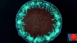 Как выглядят молекулы некоторых веществ.Зло под микроскопом