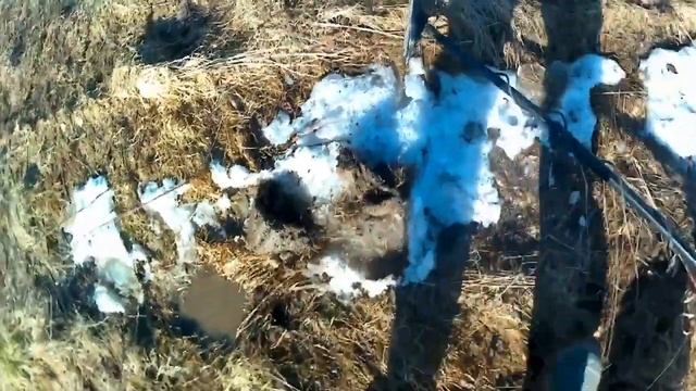 Minelab VANQUISH 440   Первый выход, отвел душу немного и кайфанул от МД.# 6