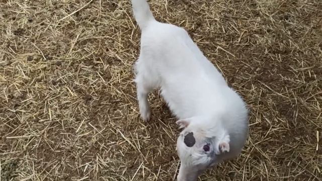 Детский сад 2