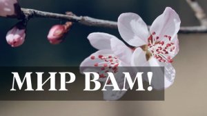МИР ВАМ! - КРАСИВАЯ ПАСХАЛЬНАЯ ПЕСНЯ