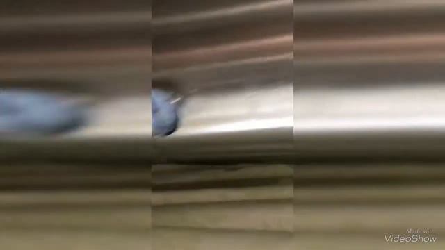 Ответчик-благодаря