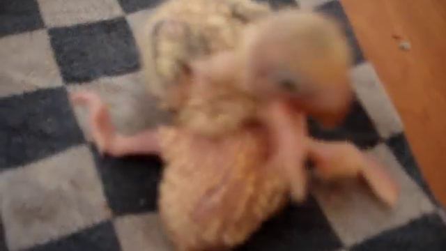 MOV00056 смотреть онлайн