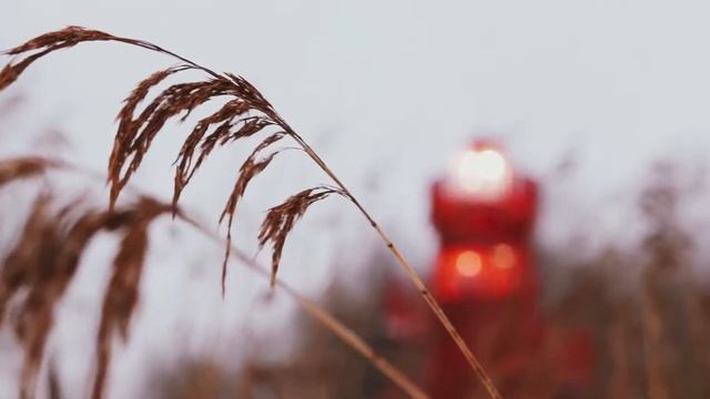 Маяк Солнечногорска смотреть онлайн
