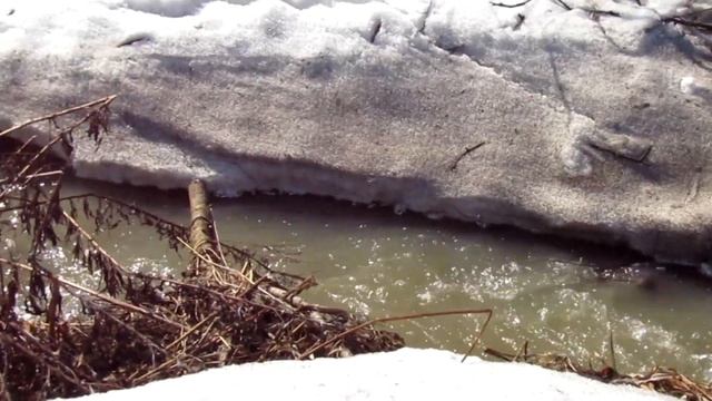 ПВД Мыски - Чуазас. 13.04 смотреть онлайн