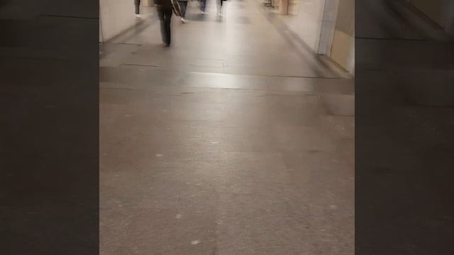 метро Медведково, Москва 2019 смотреть онлайн