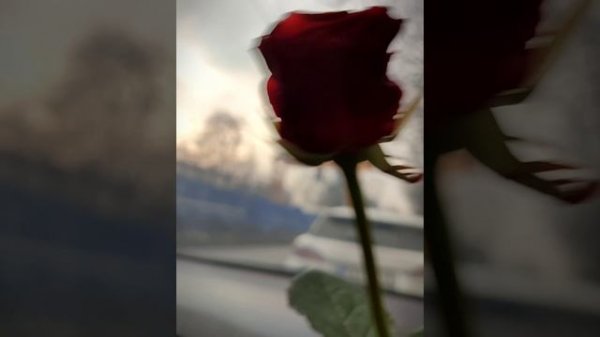 Green Apelsin – Мёртвые розы, sped up