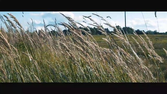 Кира и Глеб учат как сделать эксперимент с колой. Как сделать гигантскую пену из кока-колы. смотреть онлайн