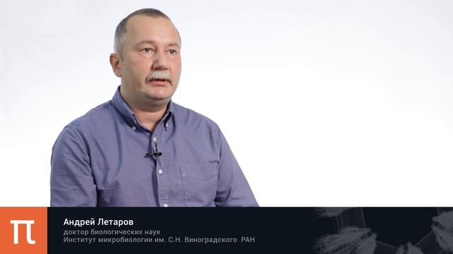 Споры бактерий — Андрей Летаров смотреть онлайн