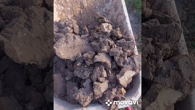 Витебск д Воеводки колодец 6 колец,грунт суглинок,песок,водонос суглинок с песчаными прожилками. смотреть онлайн