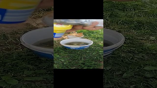 VID_20240808_161152 смотреть онлайн