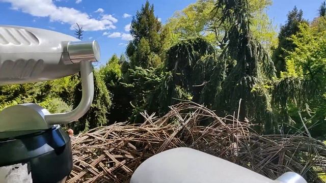 Пошли в ботанический сад, много приколов там увидели смотреть онлайн