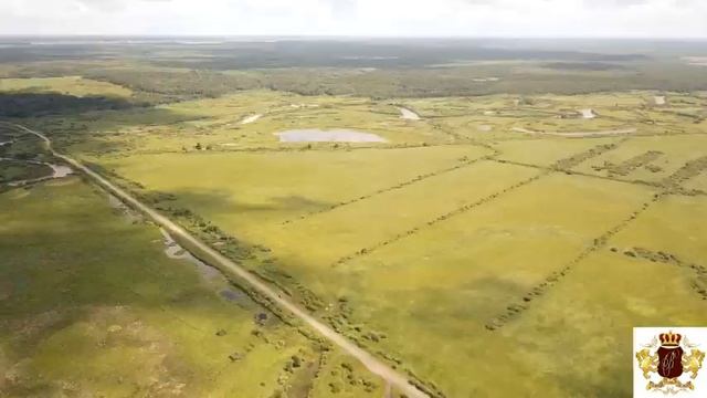 100 соток за Успенкой. Московский тракт. Тюменский гектар смотреть онлайн