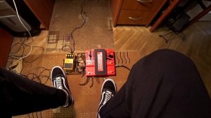 Домашний обзор гитарных педалей | Boss DS-2 и Digitech Whammy DT