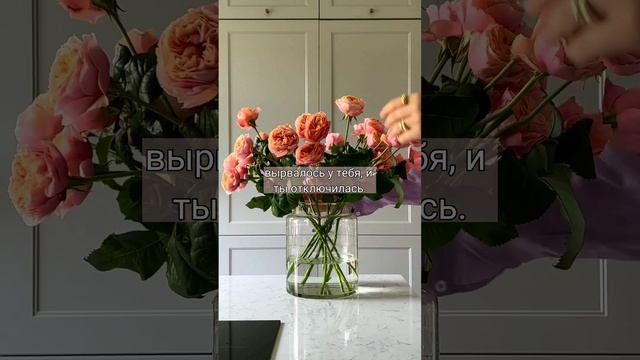 /Любовь по сценарию/168 серия/paytonpov?? смотреть онлайн