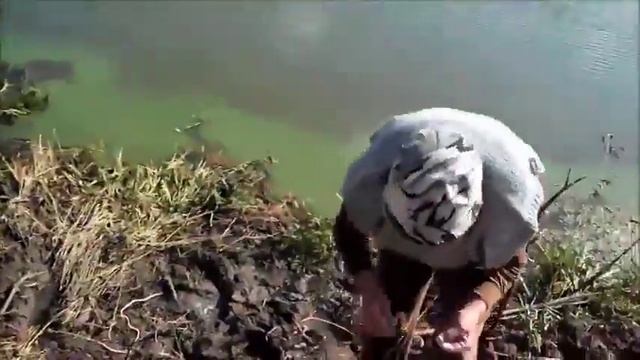 Летняя рыбалка На карася в Подмосковье смотреть онлайн