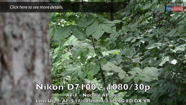 Canon 70D Video AF vs Nikon D7100 & Canon SL1 - AF Rack Focus смотреть онлайн