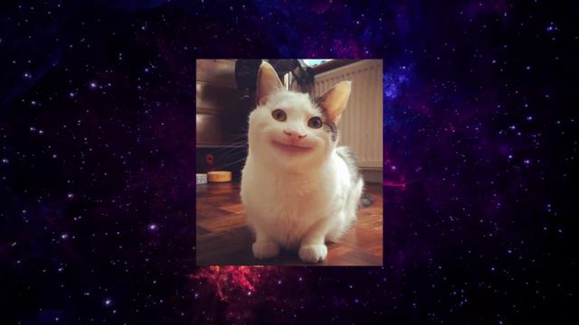 БУДУЩЕЕ МАРИНЕТТ и АДРИАНА в 