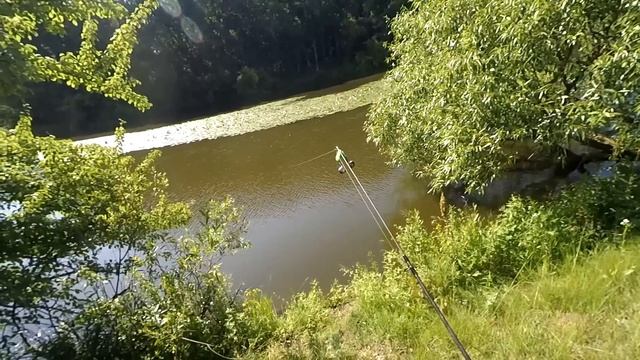 Ловля карася на реке Южный Буг. Снасть убийца карася. [Отчеты о рыбалке] смотреть онлайн