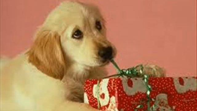 Have Yourself A Merry Little Christmas - Saxophone смотреть онлайн